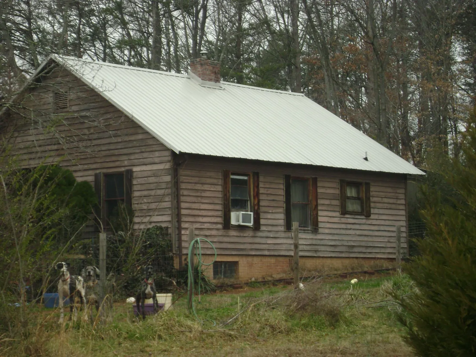 White metal roof on an old wood sided farmhouse, from a Asphalt Shingle Roof Repair job in South Byron